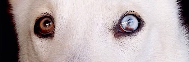 luisfertomi's profile banner image