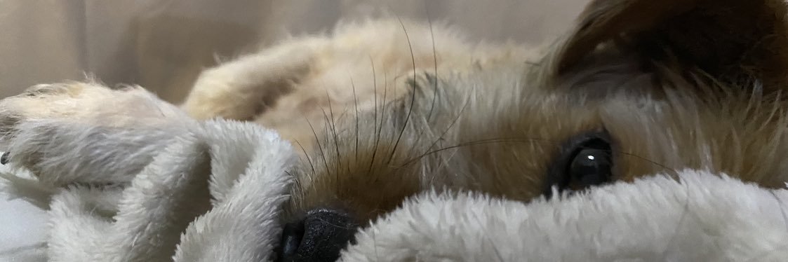 caputando's profile banner image