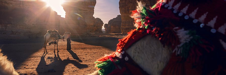 📸 عبدالله الشثري banner