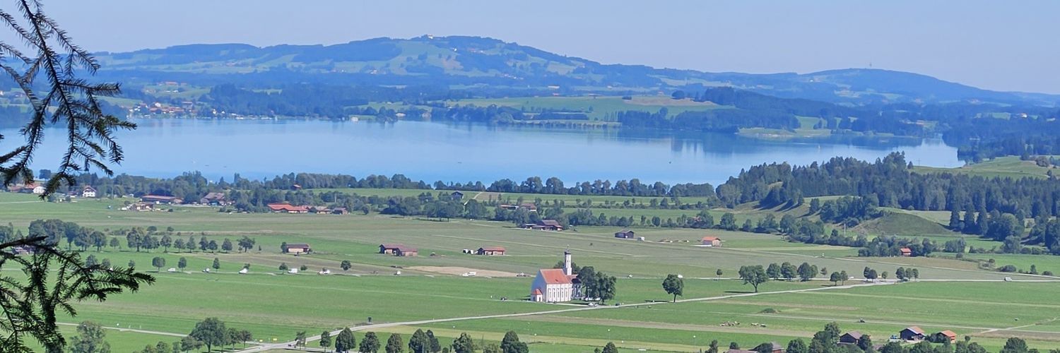 GosVanDerLinde's profile banner image