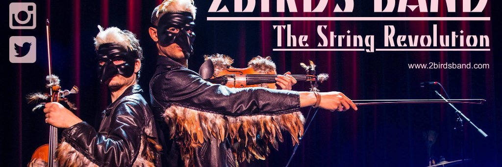 2birdsband's profile banner image