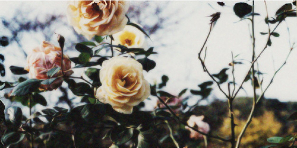 anitaratcliffe's profile banner image