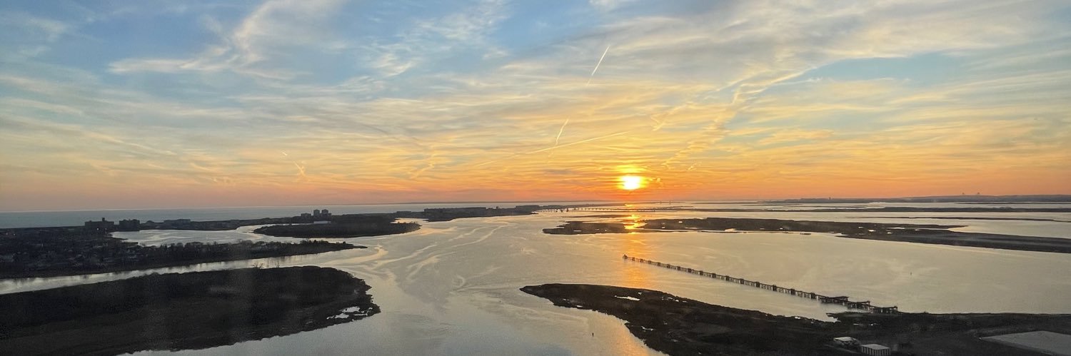 Julie Collins banner