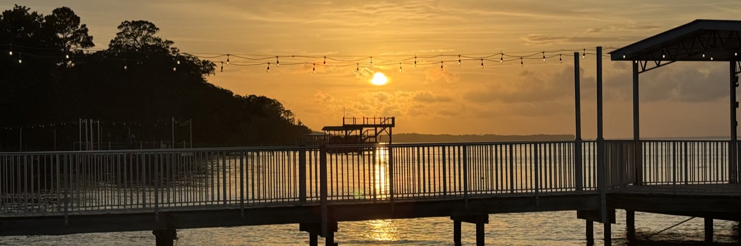 Tammy Schaefer banner