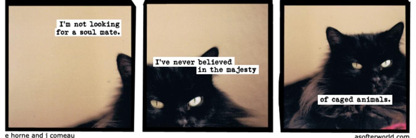 Brittany Whittenberg banner