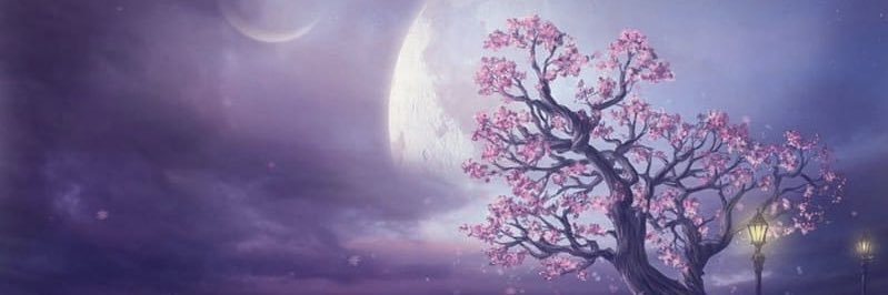 nowrooziann's profile banner image