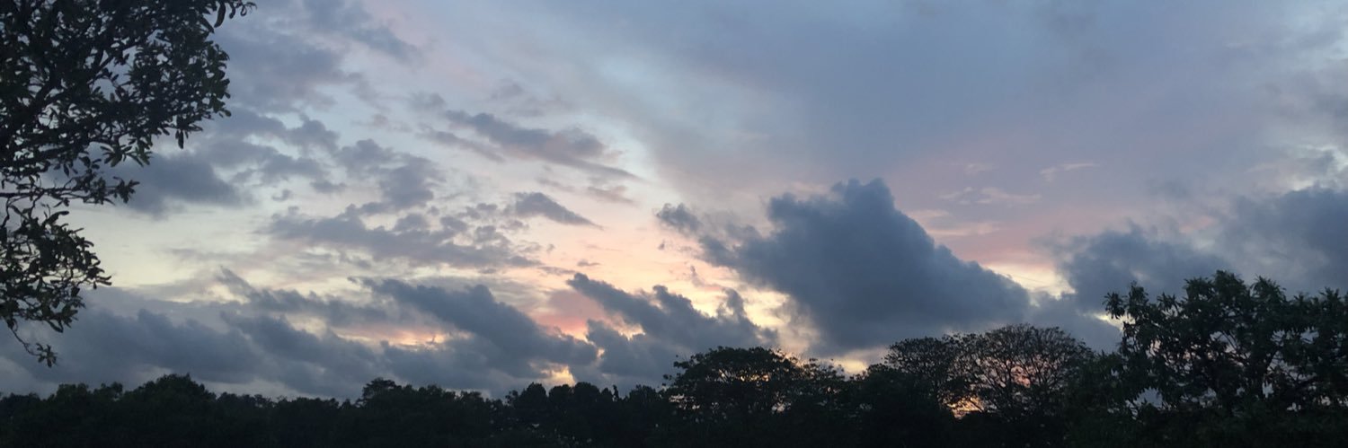 nimshiH's profile banner image