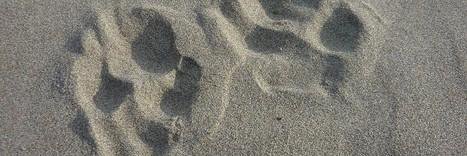 skomarr71's profile banner image
