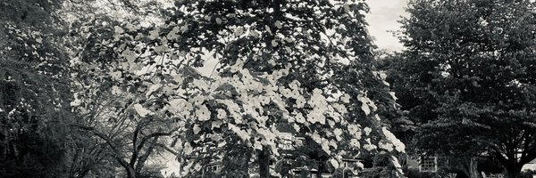 LillyAFowler Profile Banner