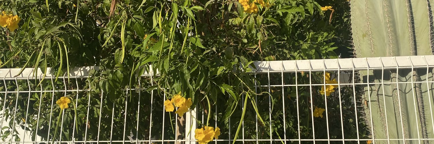 Lilly Ana Fowler banner