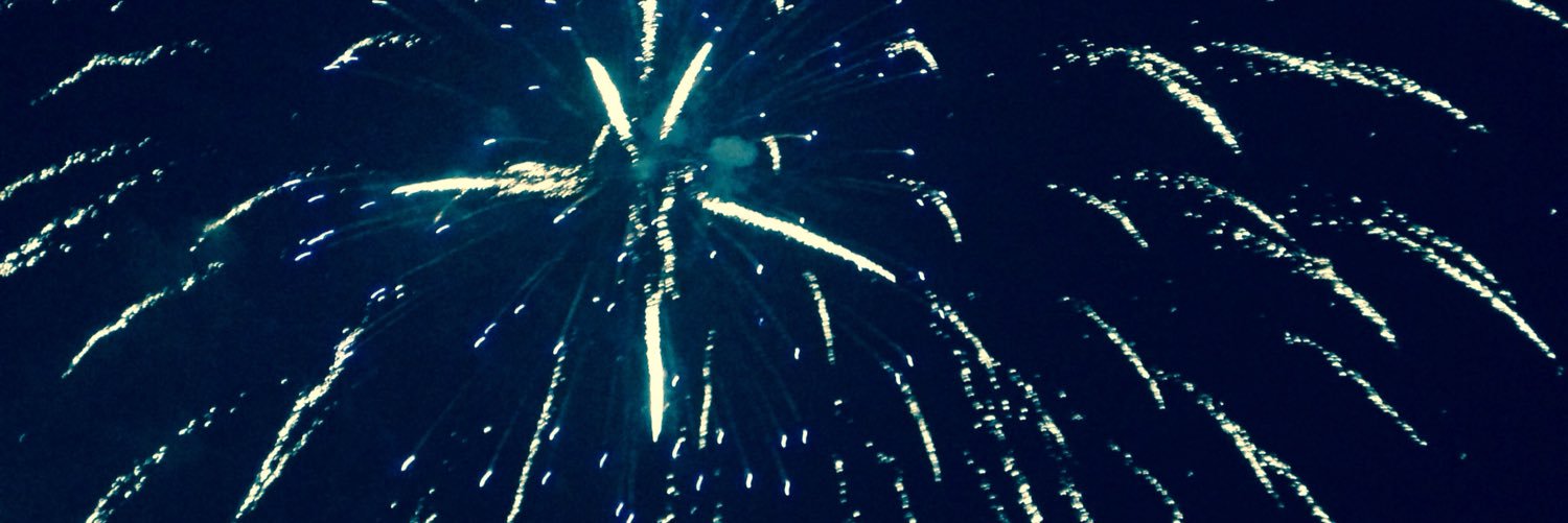 donald schnick banner