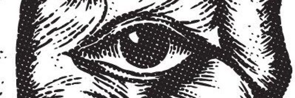 Basstzer Profile Banner