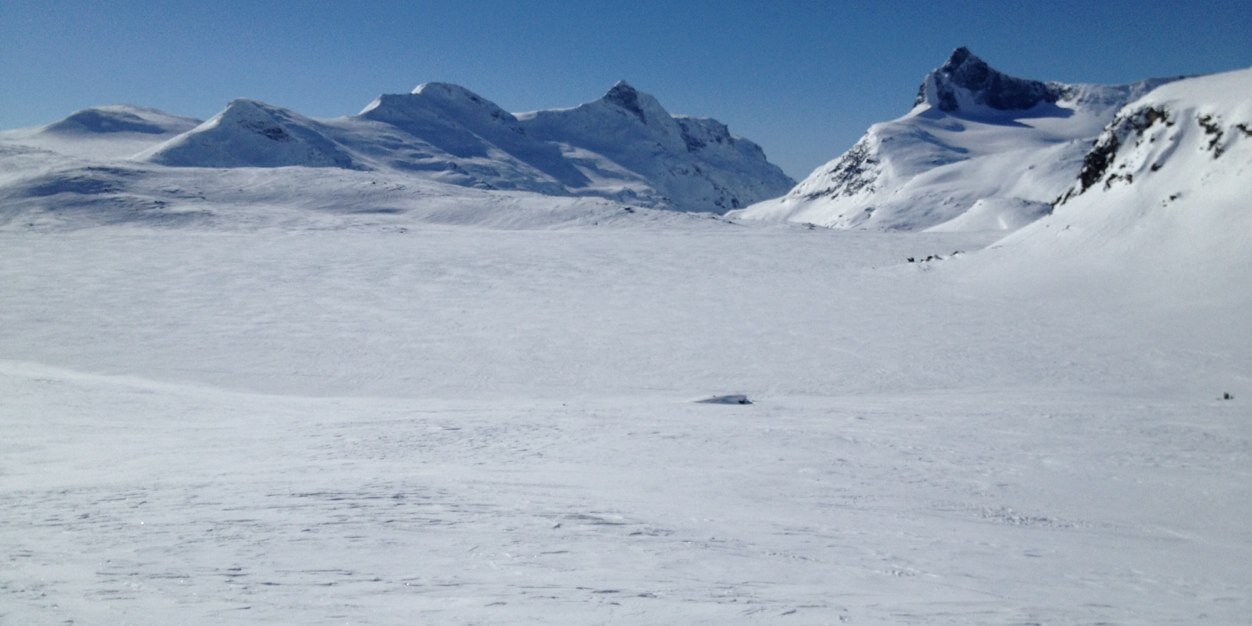f_hannestad's profile banner image