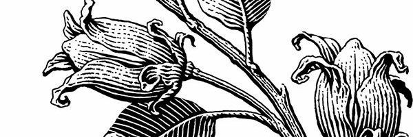 emilyfershur's profile banner image