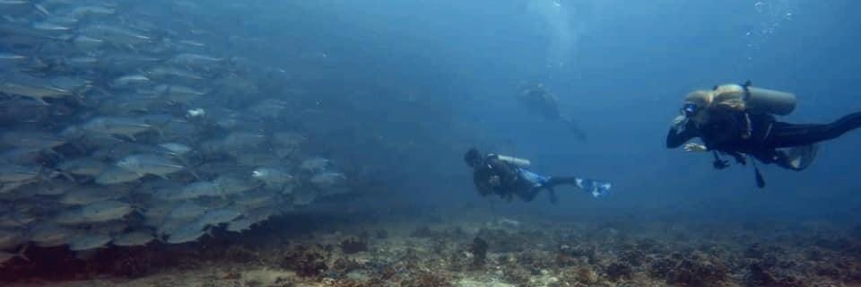 DeepZone_Divers's profile banner image