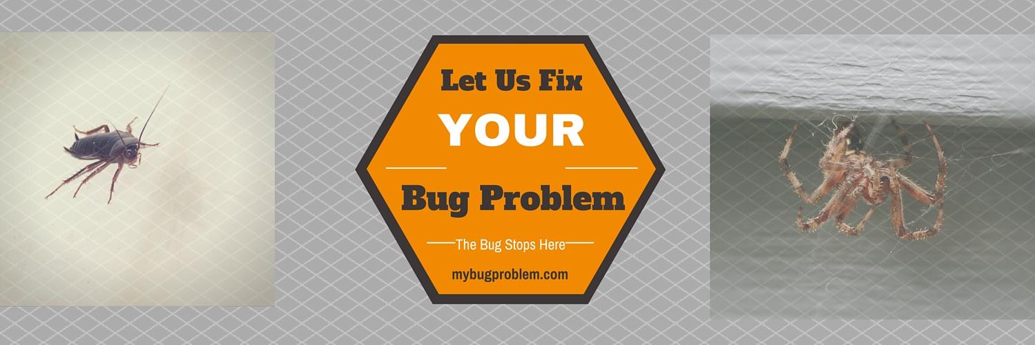 Clark Exterminating (@mybugproblem) / Posts / X