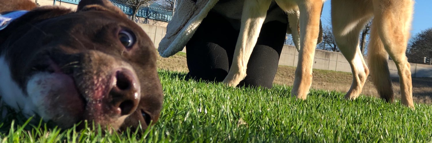 jayfountt's profile banner image