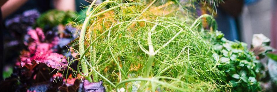 RAPTNY's profile banner image