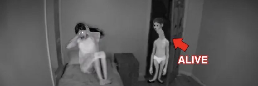 1738 EVO WORLD CHAMPION banner