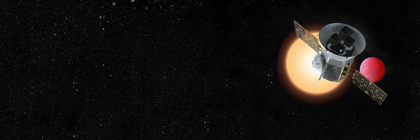 Elisa Quintana banner