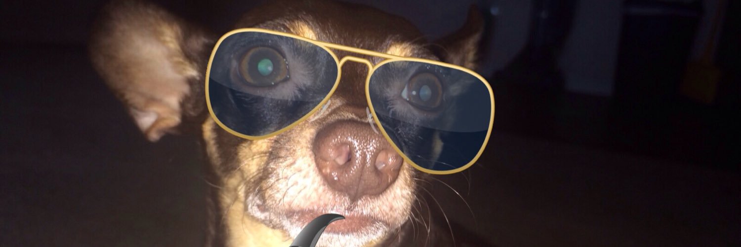 ChelseaSwisher's profile banner image