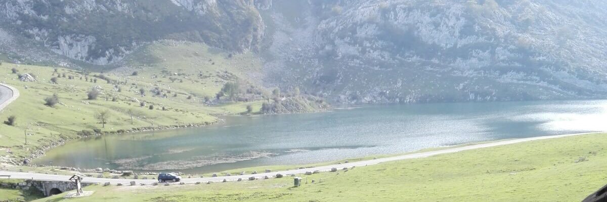 Beatriz Rodríguez banner