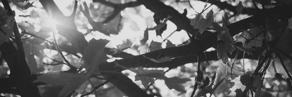 mariahoekstra's profile banner image