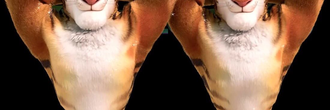 booty_boys's profile banner image
