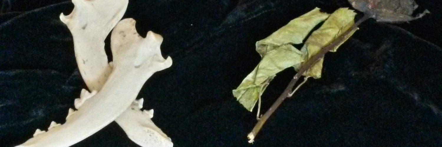 Goth27's profile banner image