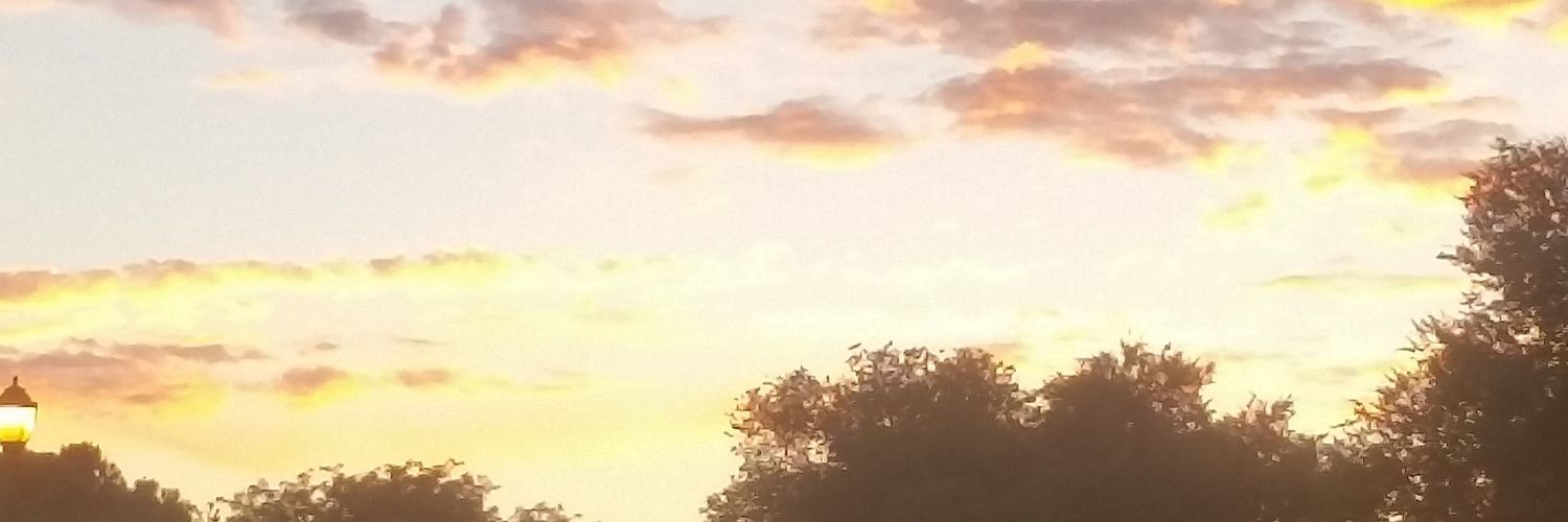 CapTainDW29's profile banner image