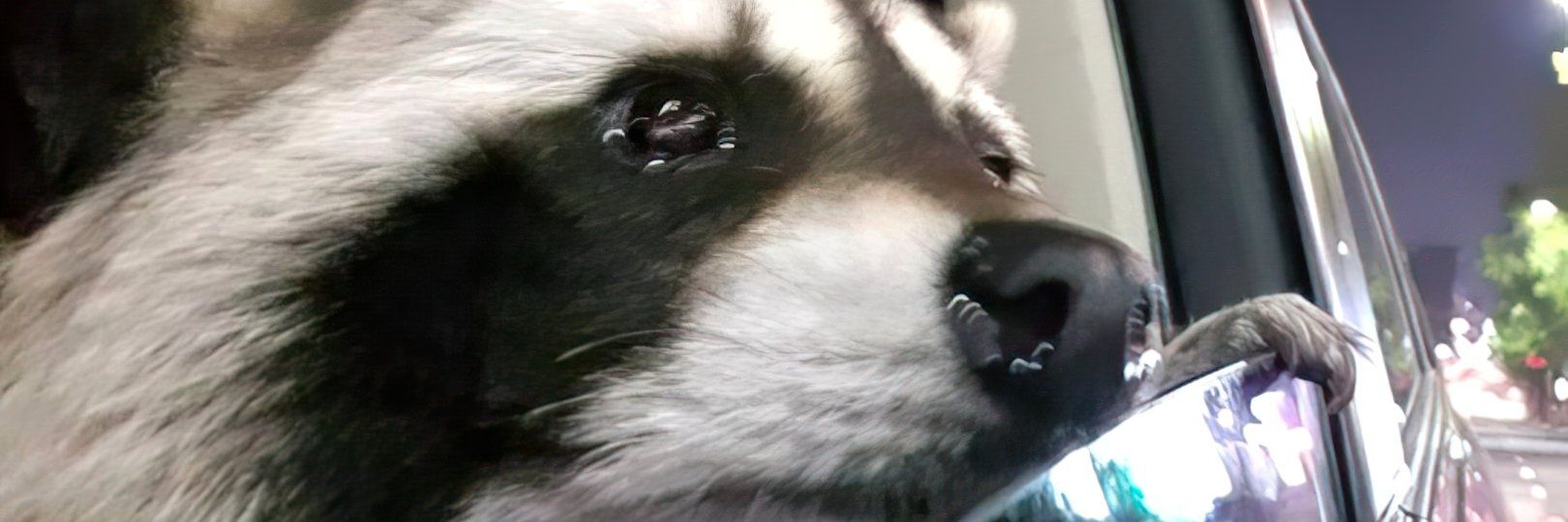 diegosggg's profile banner image