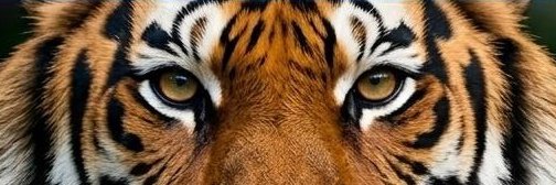 CuriosityEdge's profile banner image
