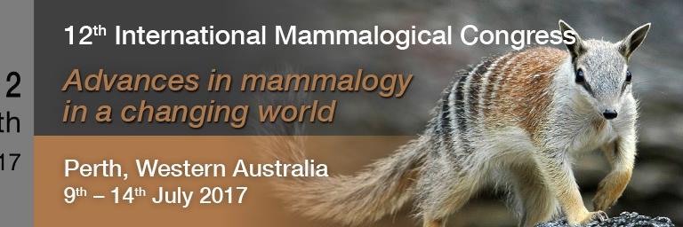 IMC12Perth's profile banner image