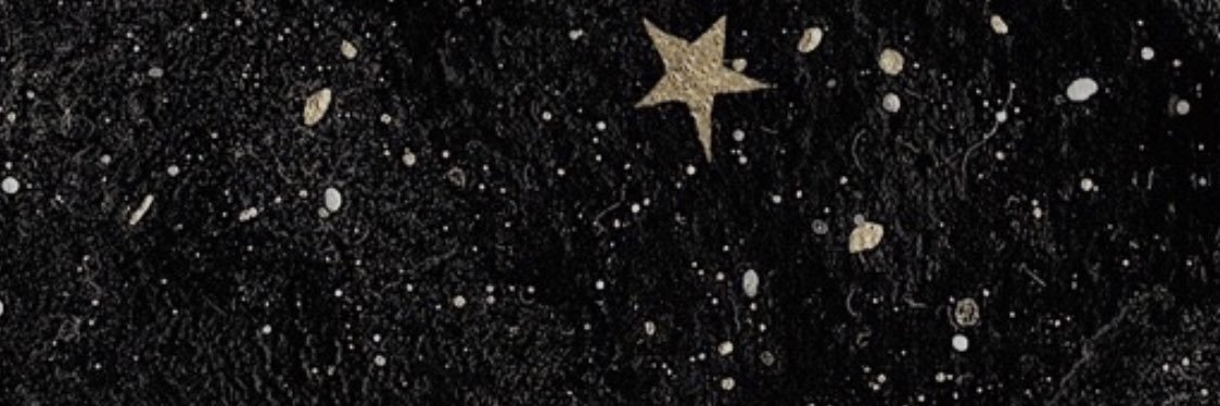VeraLindberg's profile banner image