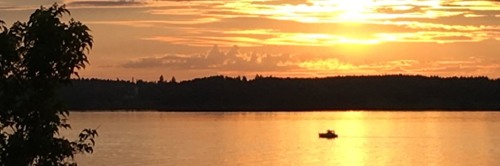 Sami M. Leppänen banner