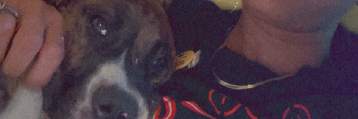 Pretty_PxtHead's profile banner image
