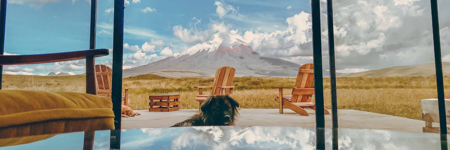 Amina Chaudhry 🇵🇸❤️🖤🤍💚 banner