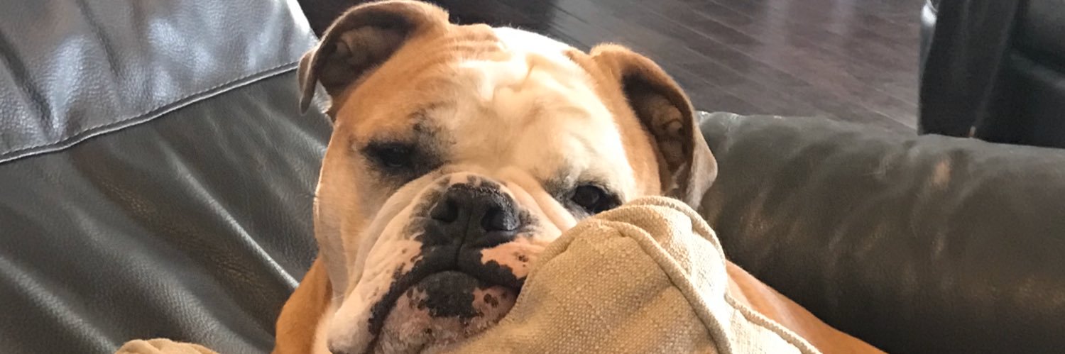 Adrienne Fatzinger (Leone) banner