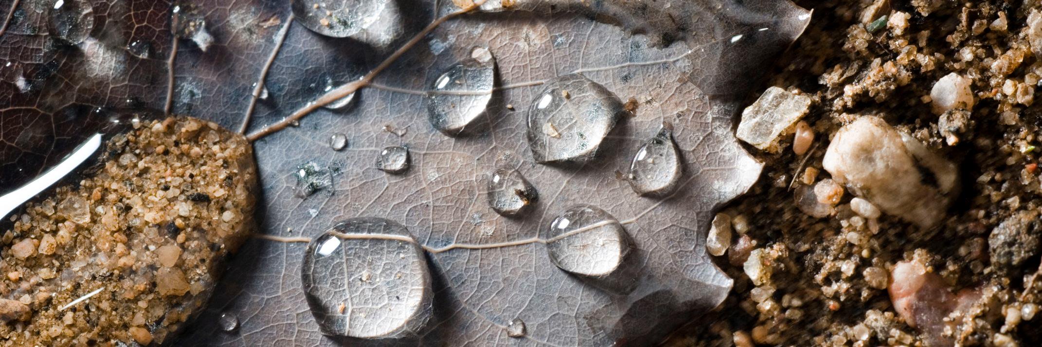 Knight Knowledge banner