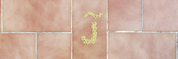 JudithdeDiego Profile Banner