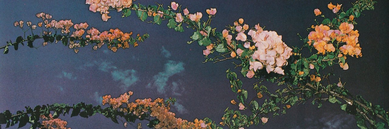 SaintLemos's profile banner image