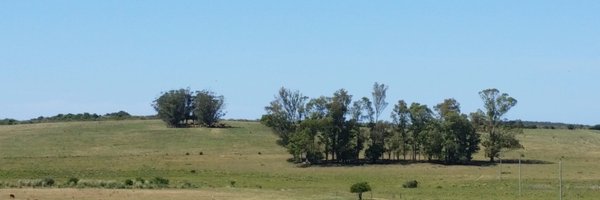 INIA_UY Profile Banner