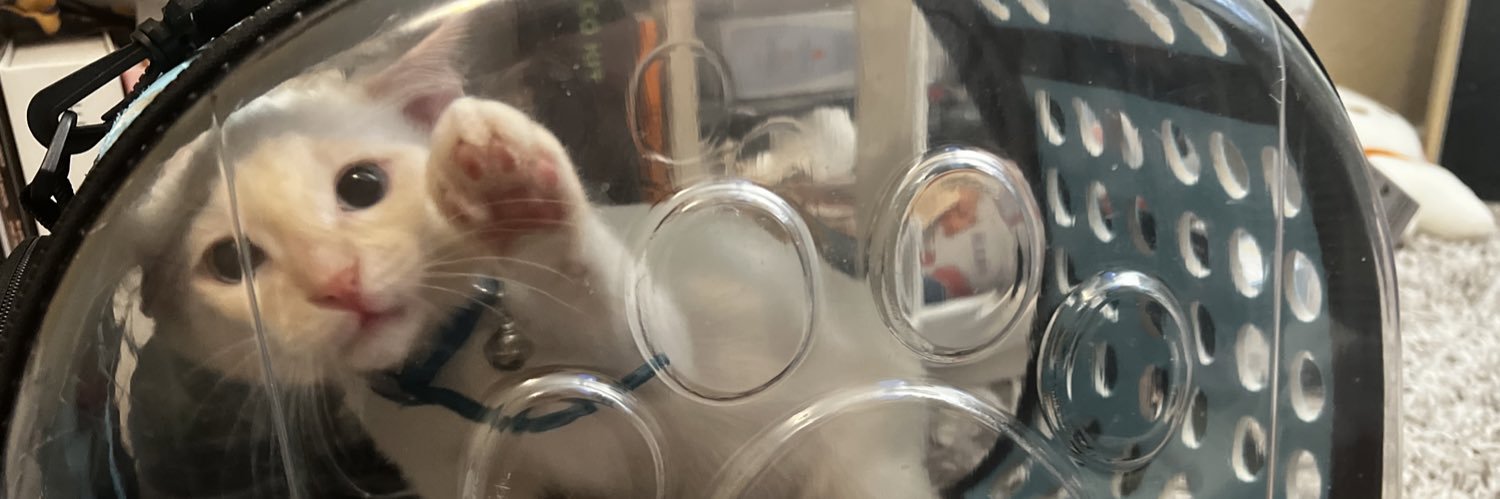 moonlesIie's profile banner image