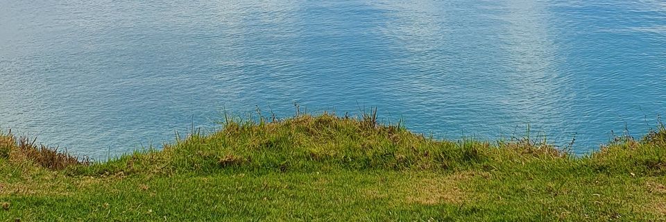 Monda_S's profile banner image