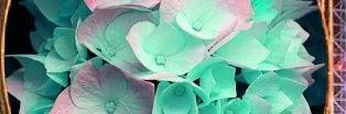RASEL10119056's profile banner image