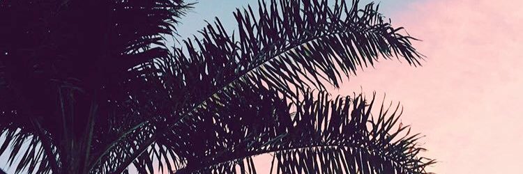 kriswisnesk's profile banner image