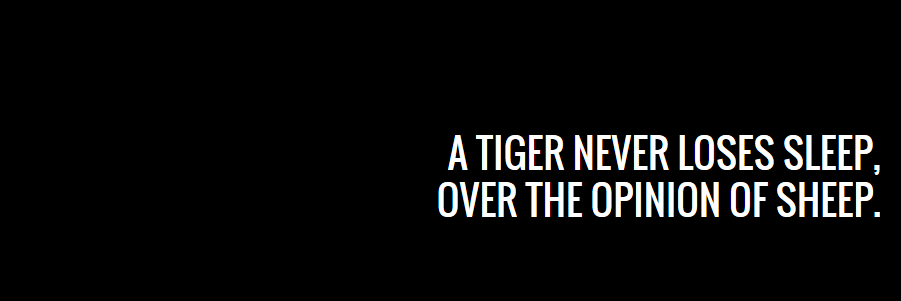 Madeofstonee's profile banner image