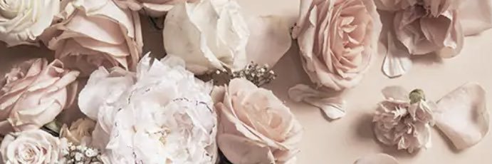 nat_foster's profile banner image
