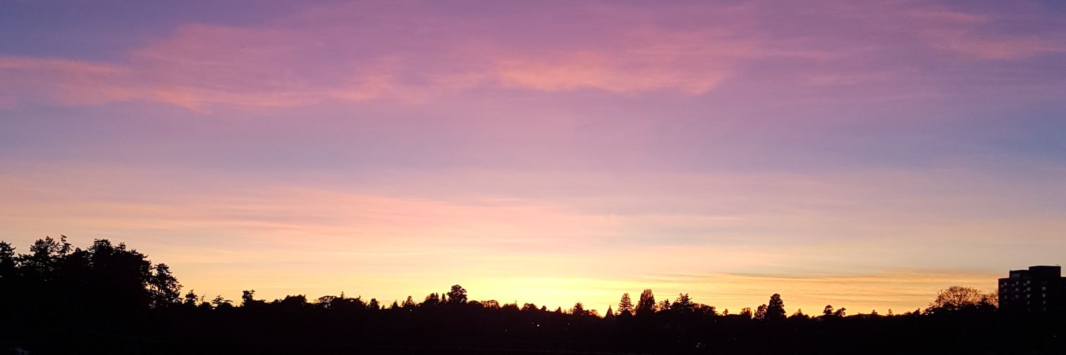 xxvtran's profile banner image