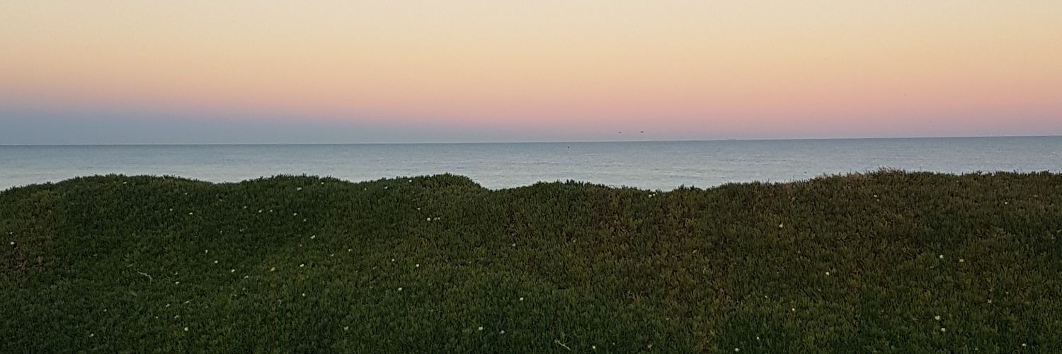 applefields_'s profile banner image